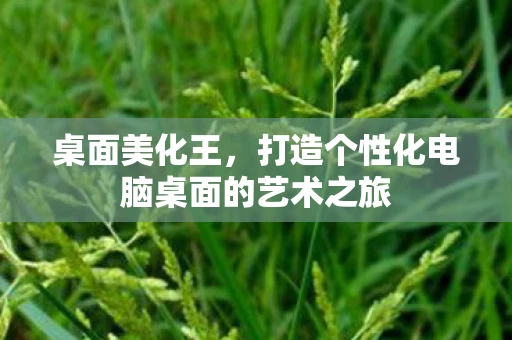 桌面美化王，打造个性化电脑桌面的艺术之旅