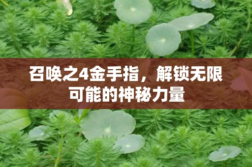 召唤之4金手指，解锁无限可能的神秘力量