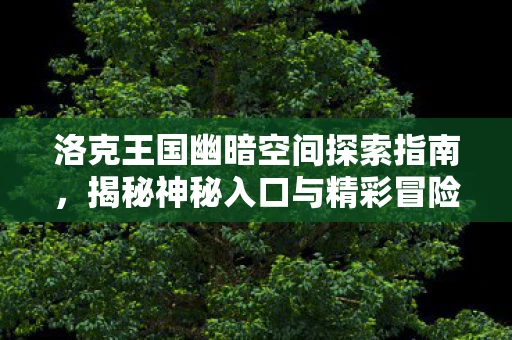 洛克王国幽暗空间探索指南，揭秘神秘入口与精彩冒险