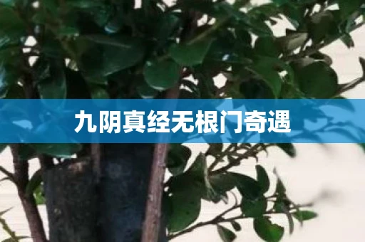 九阴真经无根门奇遇