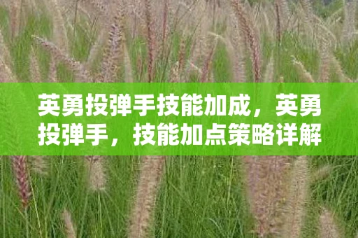 英勇投弹手技能加成，英勇投弹手，技能加点策略详解