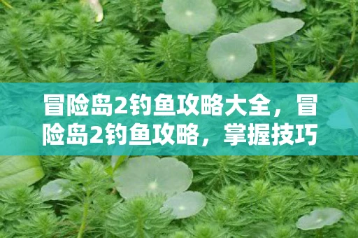 冒险岛2钓鱼攻略大全，冒险岛2钓鱼攻略，掌握技巧，收获满满