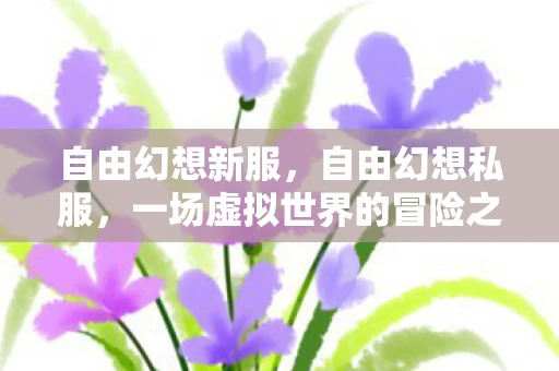 自由幻想新服，自由幻想私服，一场虚拟世界的冒险之旅