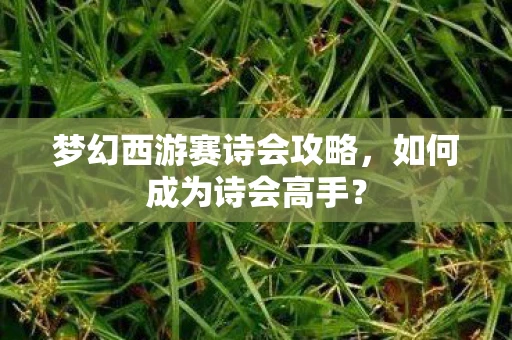梦幻西游赛诗会攻略，如何成为诗会高手？