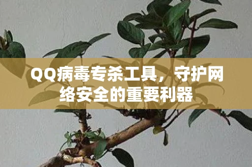 QQ病毒专杀工具，守护网络安全的重要利器