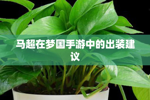 马超在梦国手游中的出装建议