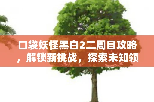 口袋妖怪黑白2二周目攻略，解锁新挑战，探索未知领域