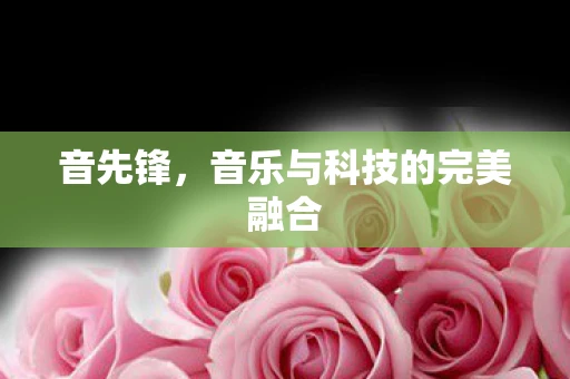 音先锋，音乐与科技的完美融合