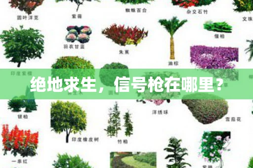 绝地求生，信号枪在哪里？