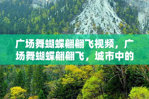 广场舞蝴蝶翩翩飞视频，广场舞蝴蝶翩翩飞，城市中的舞蹈风暴