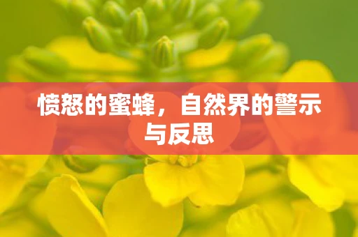 愤怒的蜜蜂，自然界的警示与反思
