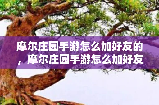摩尔庄园手游怎么加好友的，摩尔庄园手游怎么加好友