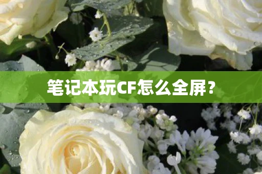 笔记本玩CF怎么全屏？
