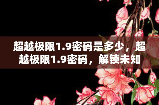 超越极限1.9密码是多少，超越极限1.9密码，解锁未知领域的神秘钥匙