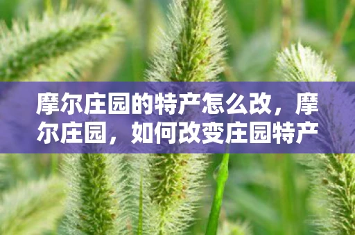 摩尔庄园的特产怎么改，摩尔庄园，如何改变庄园特产