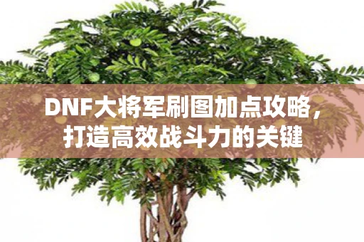 DNF大将军刷图加点攻略，打造高效战斗力的关键