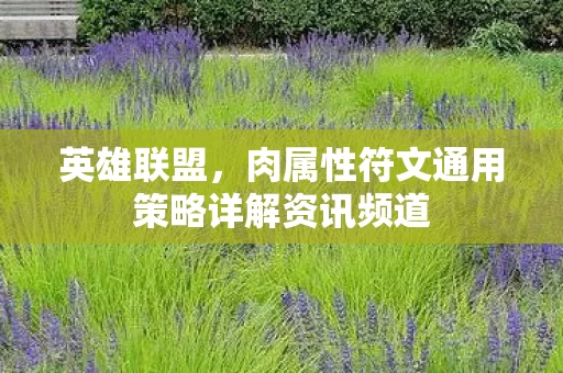 肉属性符文通用策略详解资讯频道图片