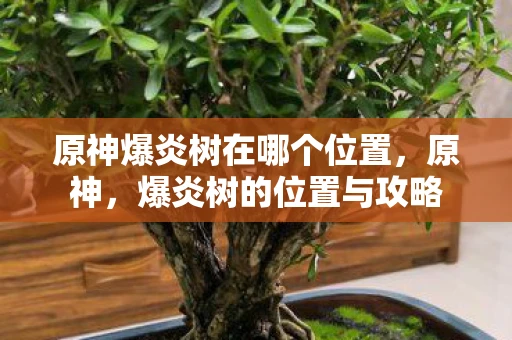 原神爆炎树在哪个位置，原神，爆炎树的位置与攻略