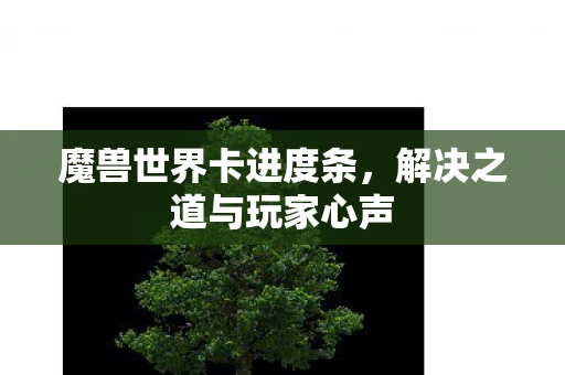 魔兽世界卡进度条，解决之道与玩家心声