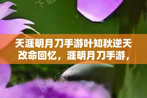 天涯明月刀手游叶知秋逆天改命回忆，涯明月刀手游，叶知秋逆改命