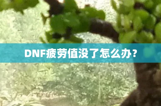 DNF疲劳值没了怎么办？