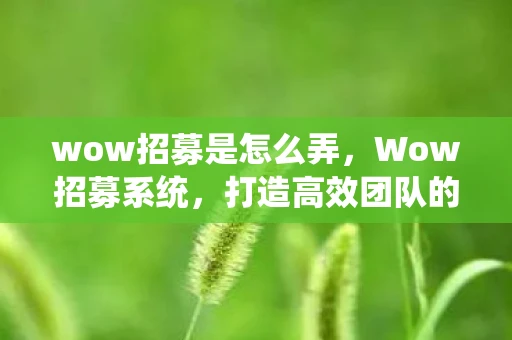 wow招募是怎么弄，Wow招募系统，打造高效团队的新利器