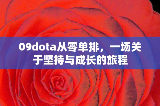 09dota从零单排，一场关于坚持与成长的旅程