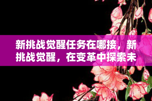 新挑战觉醒任务在哪接，新挑战觉醒，在变革中探索未来