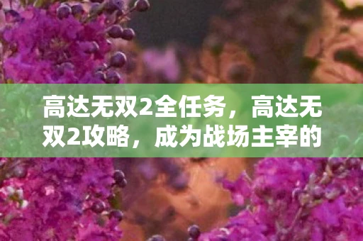 高达无双2全任务，高达无双2攻略，成为战场主宰的终极指南