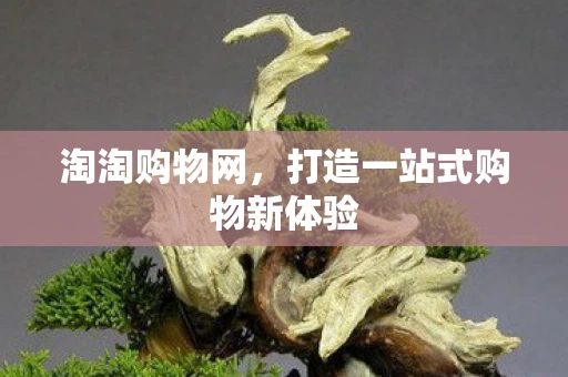淘淘购物网，打造一站式购物新体验