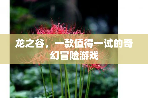 龙之谷，一款值得一试的奇幻冒险游戏