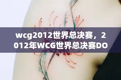 wcg2012世界总决赛，2012年WCG世界总决赛DOTA项目，传奇之战的回顾与解析