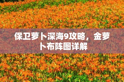 保卫萝卜深海9攻略，金萝卜布阵图详解