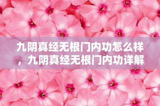 九阴真经无根门内功怎么样，九阴真经无根门内功详解，探寻武学奥秘的终极篇章