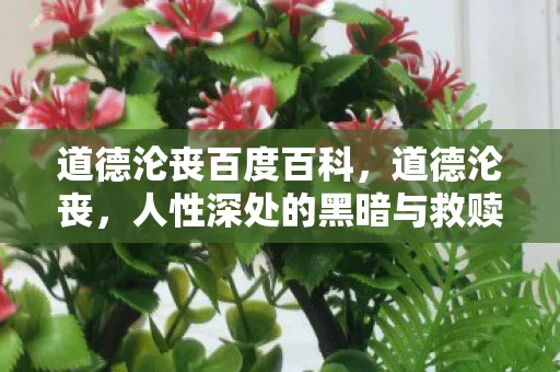 道德沦丧百度百科，道德沦丧，人性深处的黑暗与救赎