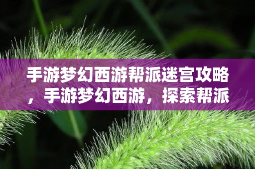 手游梦幻西游帮派迷宫攻略，手游梦幻西游，探索帮派迷宫的奇幻之旅