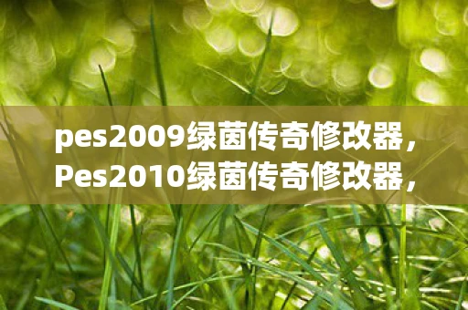 pes2009绿茵传奇修改器，Pes2010绿茵传奇修改器，解锁无限可能的足球游戏新体验