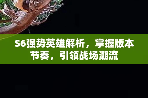 S6强势英雄解析，掌握版本节奏，引领战场潮流