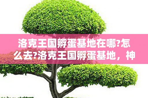 洛克王国孵蛋基地在哪?怎么去?洛克王国孵蛋基地，神秘而有趣的宠物培育之旅