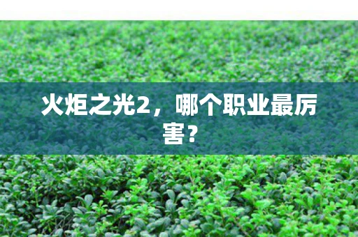 火炬之光2，哪个职业最厉害？