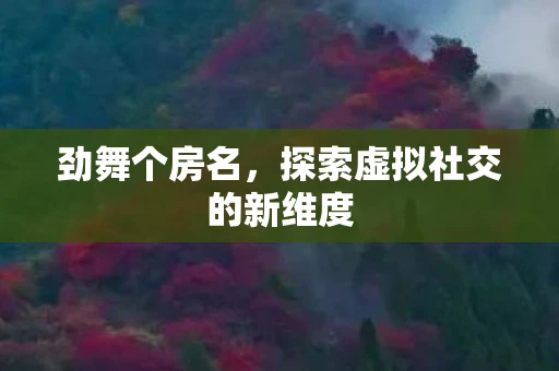 劲舞个房名，探索虚拟社交的新维度