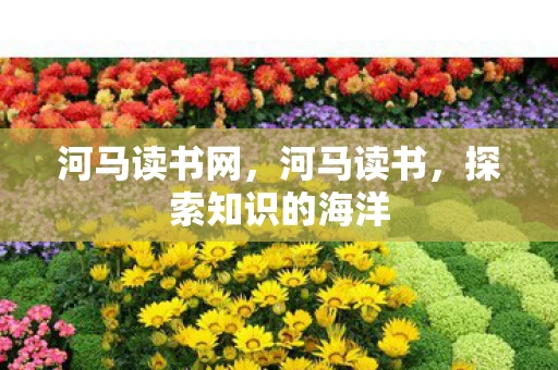 河马读书网，河马读书，探索知识的海洋