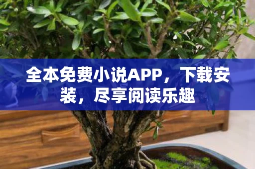 全本免费小说APP图片