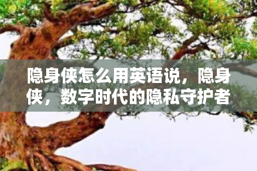 隐身侠怎么用英语说，隐身侠，数字时代的隐私守护者