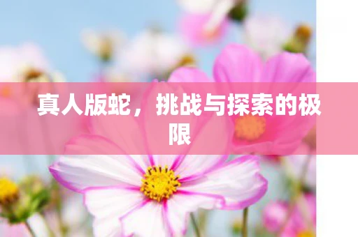 真人版蛇，挑战与探索的极限