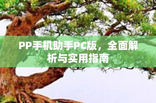 PP手机助手PC版，全面解析与实用指南