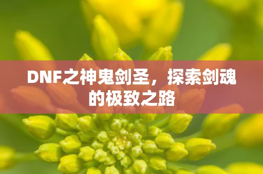 DNF之神鬼剑圣，探索剑魂的极致之路