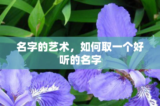 名字的艺术，如何取一个好听的名字