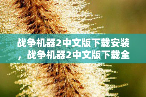 战争机器2中文版下载安装，战争机器2中文版下载全攻略