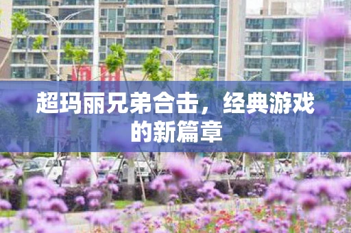 超玛丽兄弟合击，经典游戏的新篇章